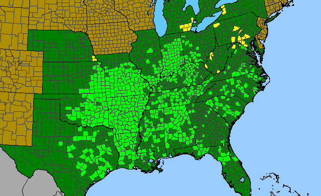 The range of Quercus shumardii